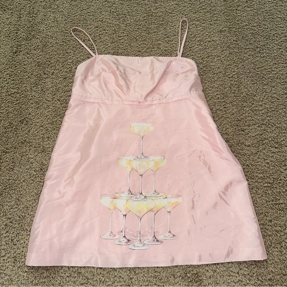 New Rachel Antonoff Champagne Tower Gwen Dress Sz 14 Pink - Picture 3 of 5